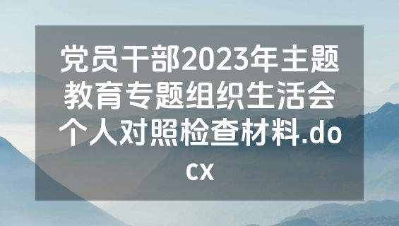 党员干部2023年主题教育专题组织生活会个人对照检查材料.docx