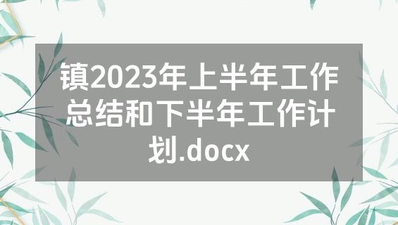 镇2023年上半年工作总结和下半年工作计划.docx
