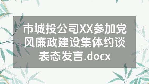 市城投公司XX参加党风廉政建设集体约谈表态发言.docx