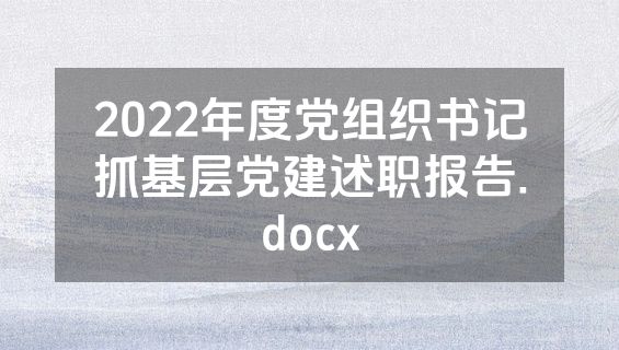 2022年度党组织书记抓基层党建述职报告.docx