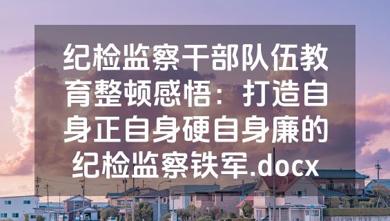 纪检监察干部队伍教育整顿感悟：打造自身正自身硬自身廉的纪检监察铁军.docx