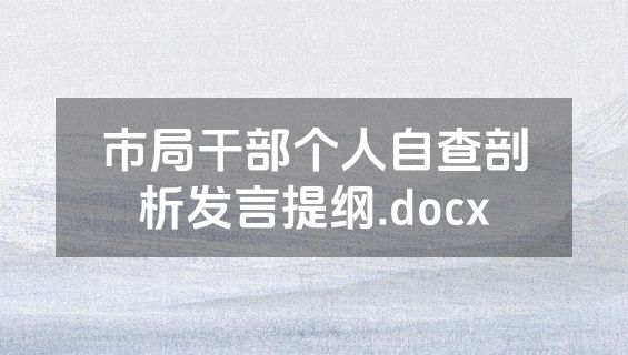 市局干部个人自查剖析发言提纲.docx