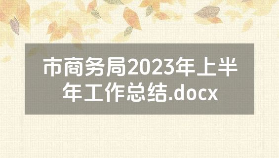 市商务局2023年上半年工作总结.docx