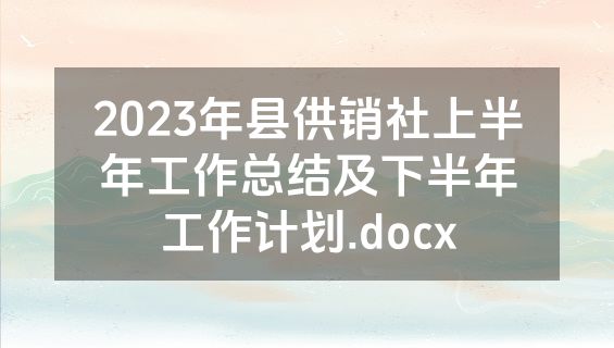 2023年县供销社上半年工作总结及下半年工作计划.docx