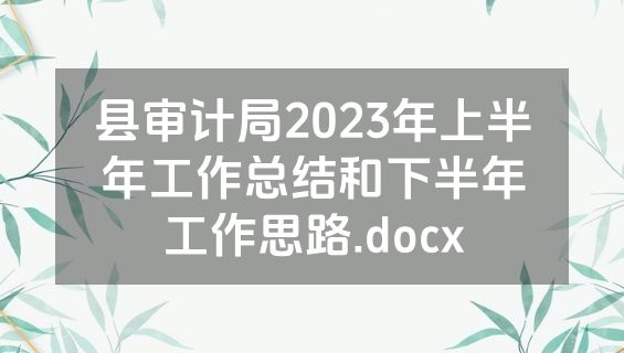 县审计局2023年上半年工作总结和下半年工作思路.docx