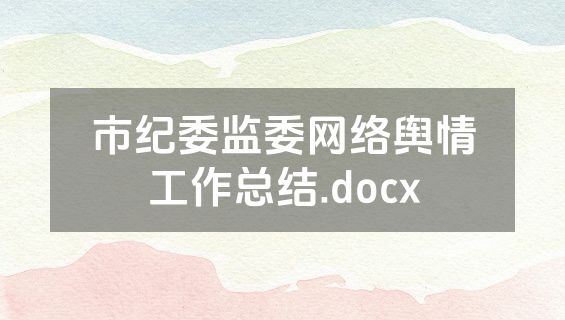 市纪委监委网络舆情工作总结.docx