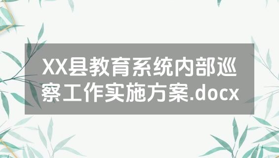 XX县教育系统内部巡察工作实施方案.docx