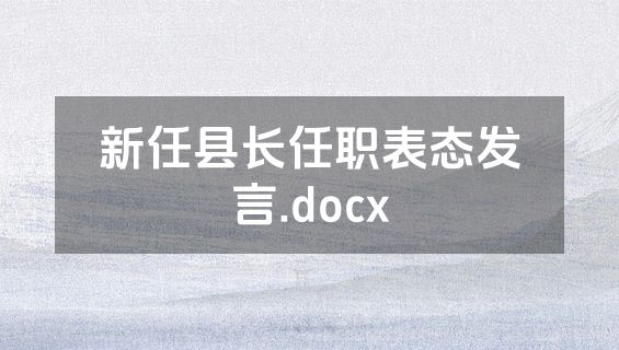新任县长任职表态发言.docx
