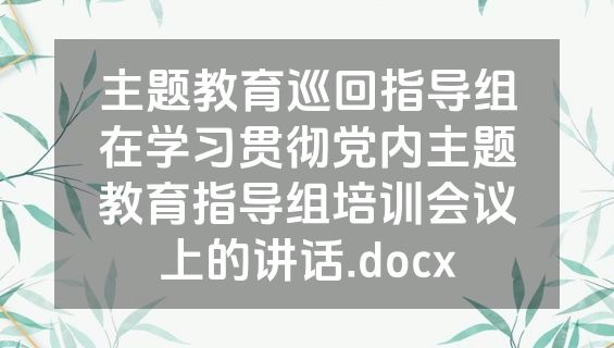 主题教育巡回指导组在学习贯彻党内主题教育指导组培训会议上的讲话.docx
