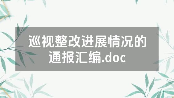 巡视整改进展情况的通报汇编.doc