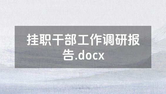 挂职干部工作调研报告.docx