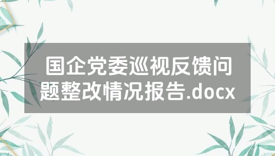 国企党委巡视反馈问题整改情况报告.docx