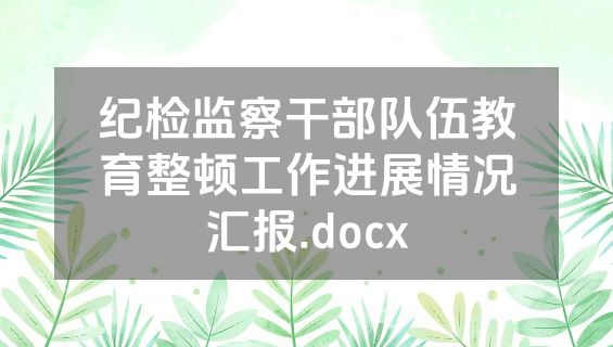 纪检监察干部队伍教育整顿工作进展情况汇报.docx