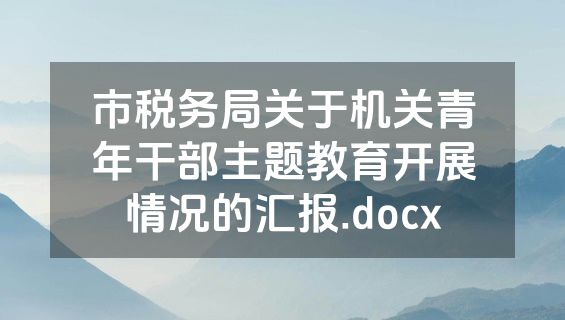 市税务局关于机关青年干部主题教育开展情况的汇报.docx