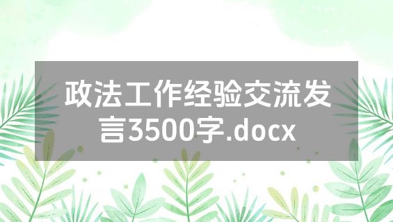 政法工作经验交流发言3500字.docx