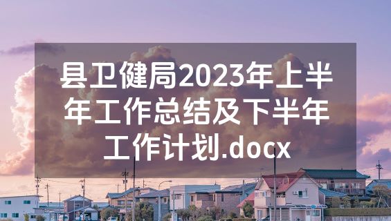 县卫健局2023年上半年工作总结及下半年工作计划.docx