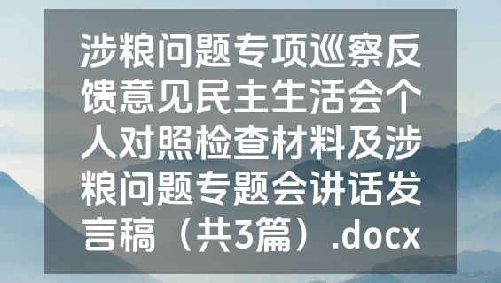 涉粮问题专项巡察反馈意见民主生活会个人对照检查材料及涉粮问题专题会讲话发言稿（共3篇）.docx