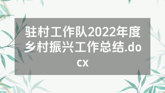 驻村工作队2022年度乡村振兴工作总结.docx