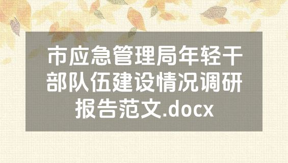 市应急管理局年轻干部队伍建设情况调研报告范文.docx