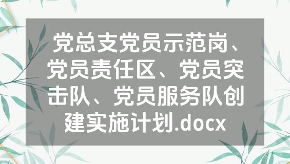 党总支党员示范岗、党员责任区、党员突击队、党员服务队创建实施计划.docx