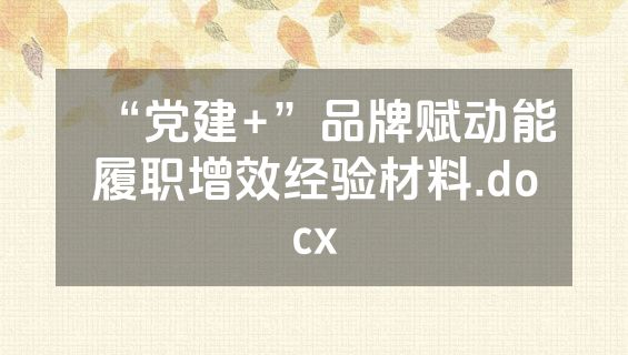 “党建+”品牌赋动能履职增效经验材料.docx