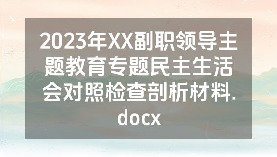 2023年XX副职领导主题教育专题民主生活会对照检查剖析材料.docx