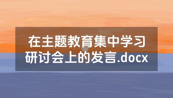 在主题教育集中学习研讨会上的发言.docx