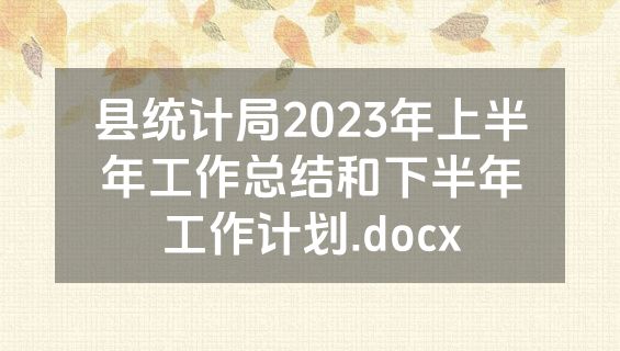 县统计局2023年上半年工作总结和下半年工作计划.docx