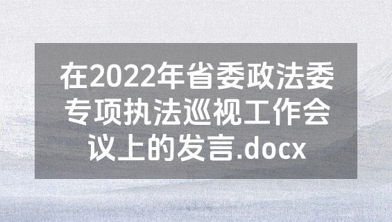 在2022年省委政法委专项执法巡视工作会议上的发言.docx