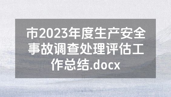 市2023年度生产安全事故调查处理评估工作总结.docx