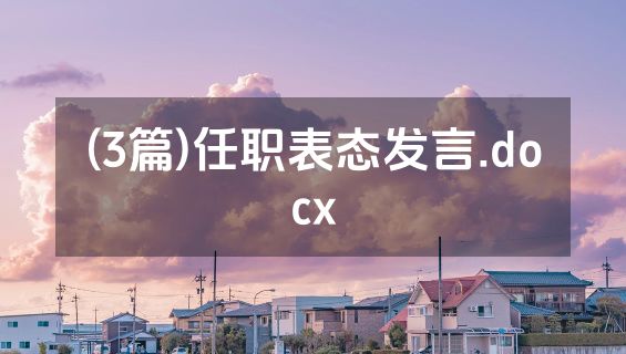 (3篇)任职表态发言.docx