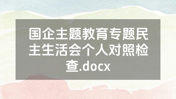国企主题教育专题民主生活会个人对照检查.docx