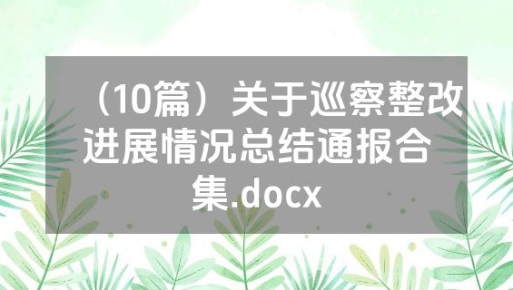（10篇）关于巡察整改进展情况总结通报合集.docx