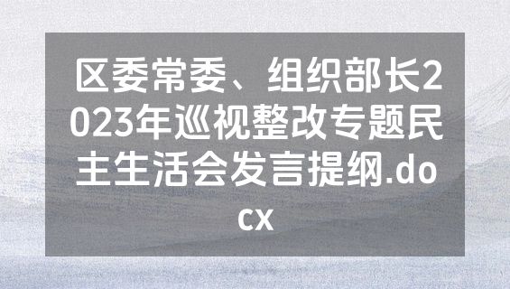 区委常委、组织部长2023年巡视整改专题民主生活会发言提纲.docx