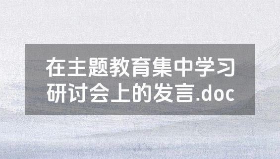 在主题教育集中学习研讨会上的发言.doc