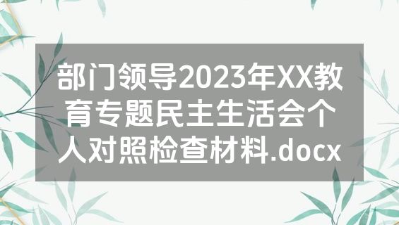 部门领导2023年XX教育专题民主生活会个人对照检查材料.docx