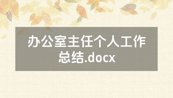 办公室主任个人工作总结.docx