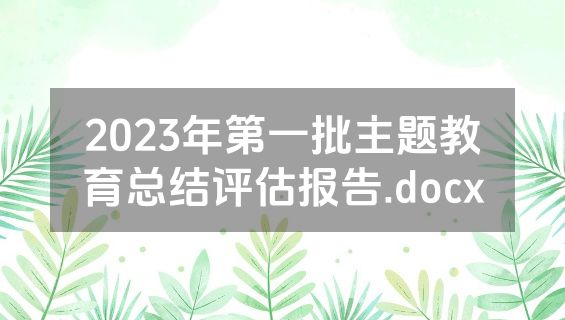 2023年第一批主题教育总结评估报告.docx
