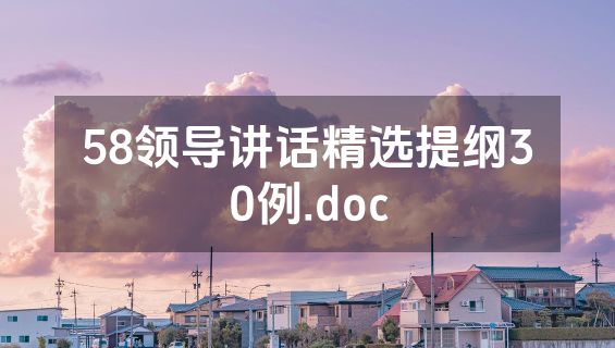 58领导讲话精选提纲30例.doc