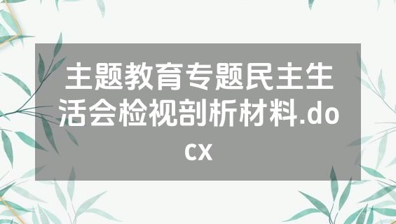 主题教育专题民主生活会检视剖析材料.docx