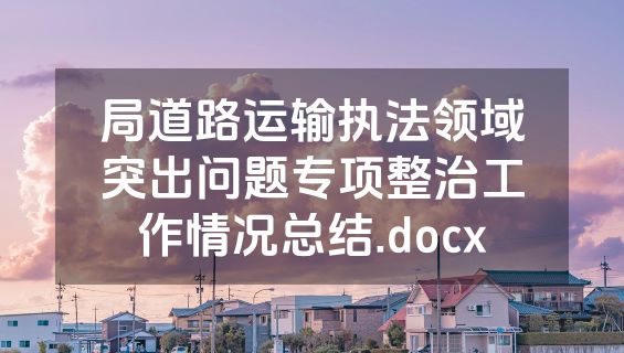 局道路运输执法领域突出问题专项整治工作情况总结.docx