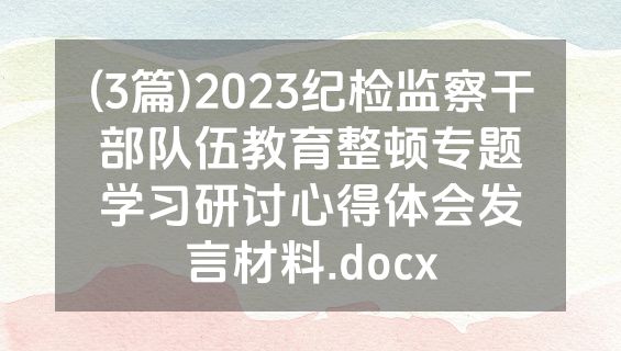 (3篇)2023纪检监察干部队伍教育整顿专题学习研讨心得体会发言材料.docx