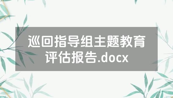 巡回指导组主题教育评估报告.docx