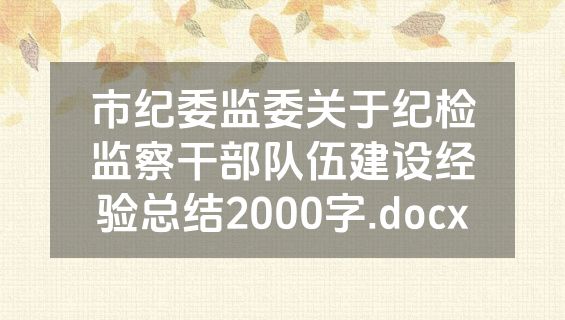 市纪委监委关于纪检监察干部队伍建设经验总结2000字.docx