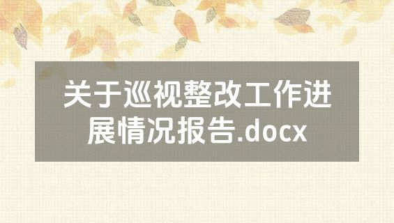 关于巡视整改工作进展情况报告.docx