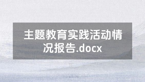 主题教育实践活动情况报告.docx