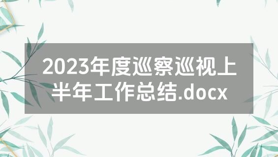 2023年度巡察巡视上半年工作总结.docx