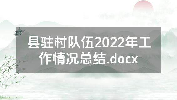 县驻村队伍2022年工作情况总结.docx