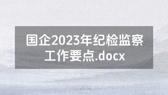 国企2023年纪检监察工作要点.docx