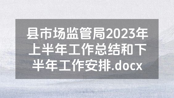 县市场监管局2023年上半年工作总结和下半年工作安排.docx